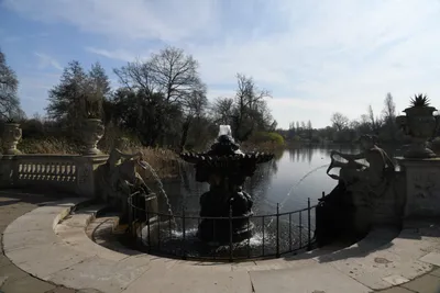 DSC_6883 (Large).JPG